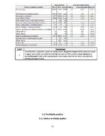 Paraugs 'Finanšu analīze', 13.