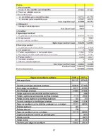 Paraugs 'Finanšu analīze', 27.