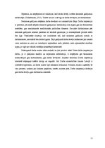 Referāts 'Valsts darba inspekcija. Darba aizsardzības joma', 11.