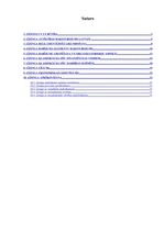 Referāts 'Līzings un tā būtība Latvijā', 2.