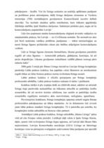 Referāts 'Līzings un tā būtība Latvijā', 9.