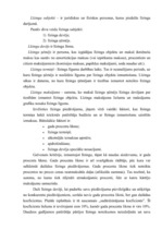 Referāts 'Līzings un tā būtība Latvijā', 11.