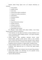 Referāts 'Līzings un tā būtība Latvijā', 20.