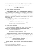 Referāts 'Līzings un tā būtība Latvijā', 24.