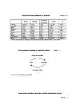 Diplomdarbs 'Identitātes politikas modeļu salīdzinājums ar "Tautas partijas" un partijas „Jau', 53.