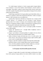 Referāts 'Korupcija, tās riski un samazināšanas iespējas Latvijā', 9.