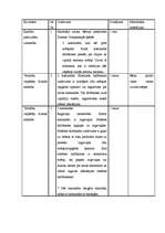 Referāts 'Sporta nodarbības kā līdzeklis 6 – 7 gadīgo pārmērīgi kustīgo bērnu aktivitātes ', 28.