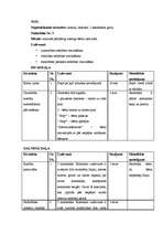 Referāts 'Sporta nodarbības kā līdzeklis 6 – 7 gadīgo pārmērīgi kustīgo bērnu aktivitātes ', 30.