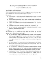 Referāts 'Zobu pastu ķīmiskais sastāvs un tās pagatavošana mājas apstākļos', 18.