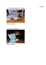 Referāts 'Zobu pastu ķīmiskais sastāvs un tās pagatavošana mājas apstākļos', 25.