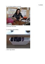 Referāts 'Zobu pastu ķīmiskais sastāvs un tās pagatavošana mājas apstākļos', 29.