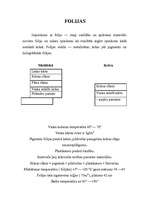 Referāts 'Kalendāra izgatavošana ', 6.