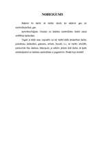 Referāts 'Kalendāra izgatavošana ', 15.