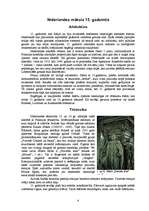 Referāts 'Renesanses māksla Nīderlandē', 4.