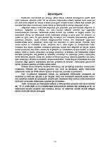 Referāts 'Renesanses māksla Nīderlandē', 13.