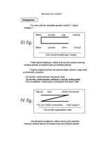 Konspekts 'Siloģisma teorija', 4.