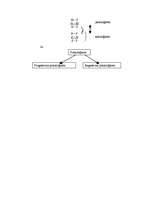 Konspekts 'Siloģisma teorija', 14.