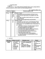 Konspekts 'Valsts, konstitūcija, pilsoņi', 2.