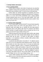 Referāts 'Gestācijas diabēts - personīgās pieredzes izklāsts', 7.