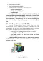 Referāts 'Gestācijas diabēts - personīgās pieredzes izklāsts', 10.