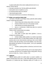 Referāts 'Gestācijas diabēts - personīgās pieredzes izklāsts', 11.