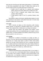 Referāts 'Gestācijas diabēts - personīgās pieredzes izklāsts', 12.