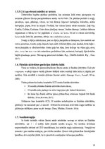 Referāts 'Gestācijas diabēts - personīgās pieredzes izklāsts', 13.