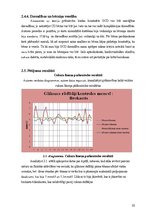 Referāts 'Gestācijas diabēts - personīgās pieredzes izklāsts', 22.