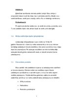 Biznesa plāns 'Atlaižu mājas lapas Travelforless.lv izveides projekts', 7.