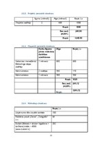 Biznesa plāns 'Atlaižu mājas lapas Travelforless.lv izveides projekts', 13.
