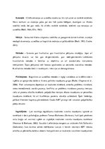 Konspekts 'Teorētiskās pieejas psihoterapijā', 2.