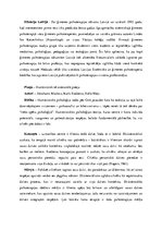 Konspekts 'Teorētiskās pieejas psihoterapijā', 7.