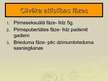 Prezentācija 'Karls Gustavs Jungs', 12.