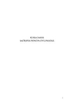 Referāts 'Sacīkstes princips civilprocesā', 1.