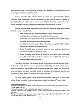 Referāts 'Starptautiskā justīcija un arbitrāža', 11.