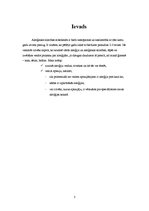 Referāts 'Alerģijas', 3.