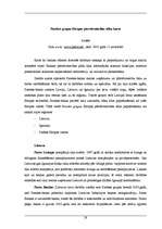 Diplomdarbs 'A/s “Parekss-banka” korporatīvā tēla veidošana starptautiskajā līmenī', 19.