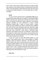 Diplomdarbs 'A/s “Parekss-banka” korporatīvā tēla veidošana starptautiskajā līmenī', 20.
