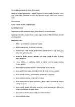 Konspekts 'Ziemai vārti vaļā - ķekatnieki nāk', 2.