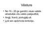 Prezentācija 'Dienvidaustrumu Āzijas raksturojums', 6.