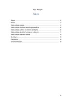 Referāts 'Referāts "Valsts policija"', 2.