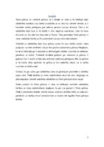 Referāts 'Referāts "Valsts policija"', 3.