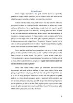 Referāts 'Referāts "Valsts policija"', 16.