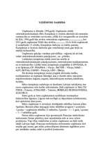 Konspekts 'Uzņēmuma raksturojums', 1.