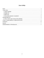 Referāts 'Kultūras un komunikācijas specifika biznesā Ķīnā', 2.