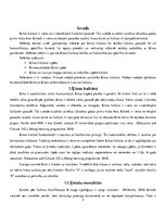 Referāts 'Kultūras un komunikācijas specifika biznesā Ķīnā', 3.