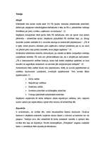 Referāts 'Sabiedrisko attiecību stratēģija tēla veidošanā', 4.