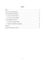 Referāts 'Latvijas Republikas proklamēšana un pirmie tiesību akti Latvijas Republikā', 3.