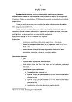 Referāts 'Hansabankas izsniedzamo kredītu veidi', 10.