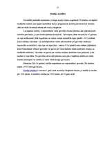 Referāts 'Hansabankas izsniedzamo kredītu veidi', 12.